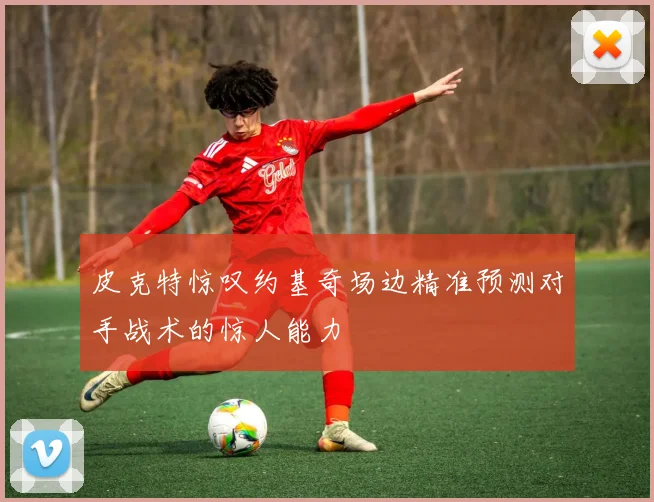 皮克特惊叹约基奇场边精准预测对手战术的惊人能力